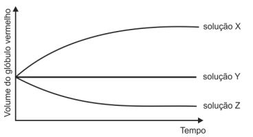 Volume de Glóbulos Vermelhos - Gráfico